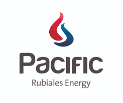 logo 9